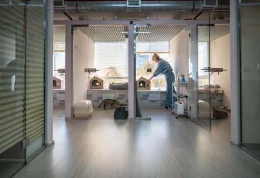 Healthcare & Education